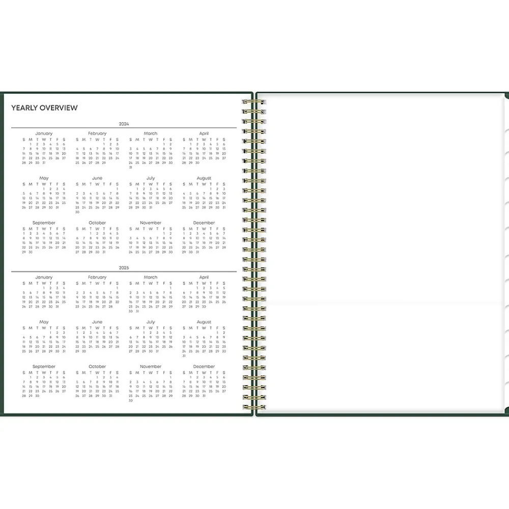 Academic Planners|Blue Sky 2024-2025 Shining Sky 8.5" x 11" Academic Weekly & Monthly Planner, Plastic Cover, Dark Green/Gold (150002)