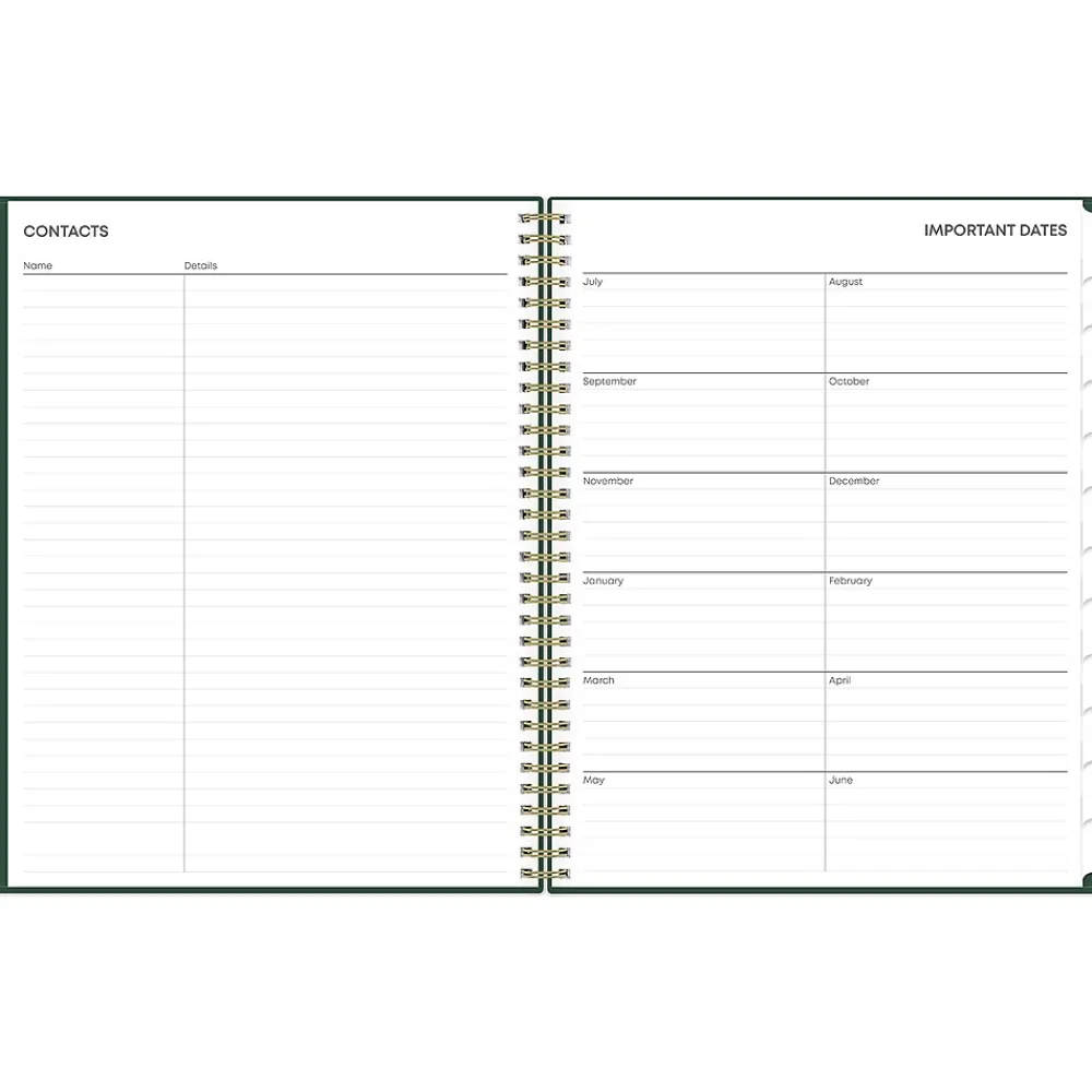 Academic Planners|Blue Sky 2024-2025 Shining Sky 8.5" x 11" Academic Weekly & Monthly Planner, Plastic Cover, Dark Green/Gold (150002)