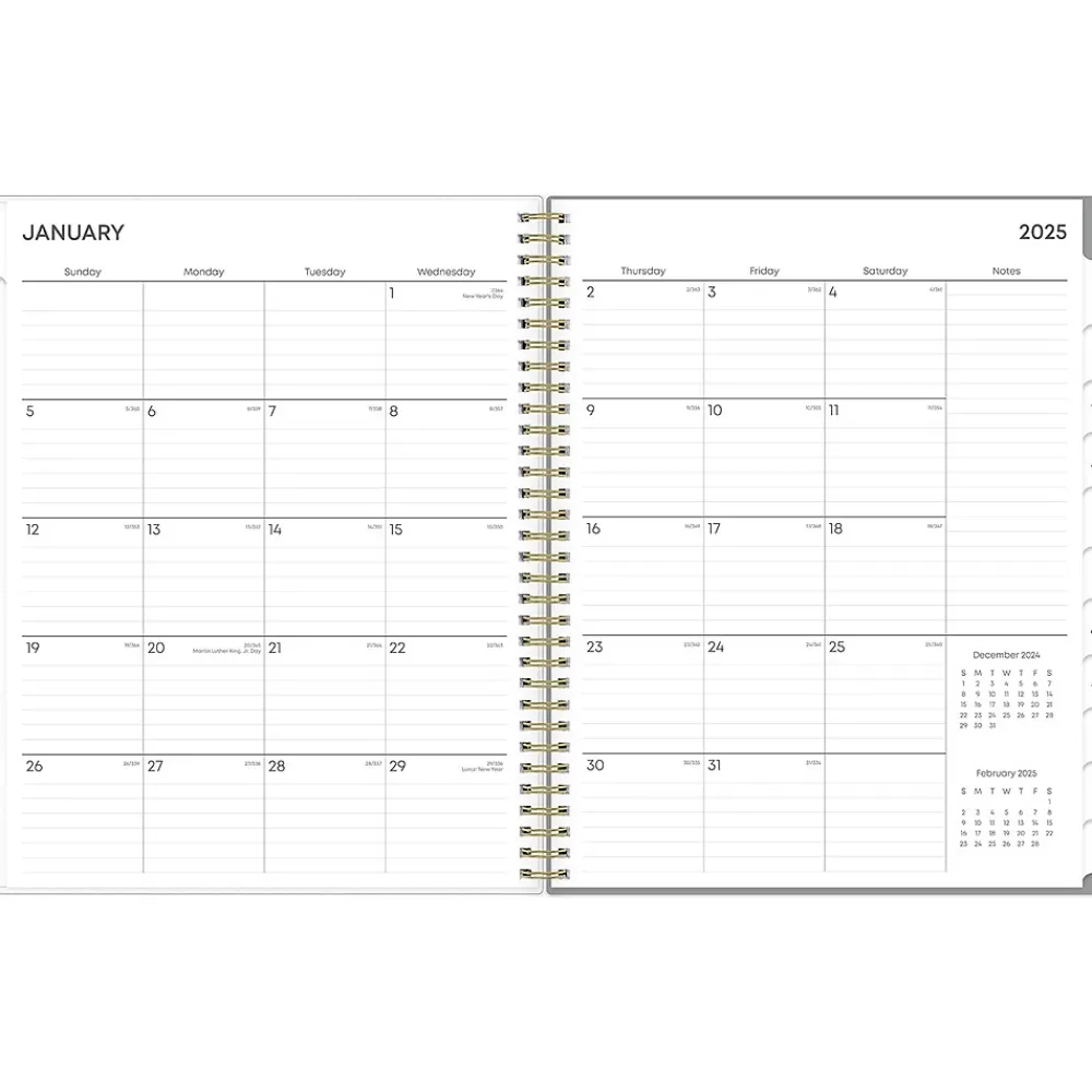 2025 Planners|Blue Sky 2025 Sophie 8.5" x 11" Weekly & Monthly Planner, Plastic Cover, Multicolor (140087-25)