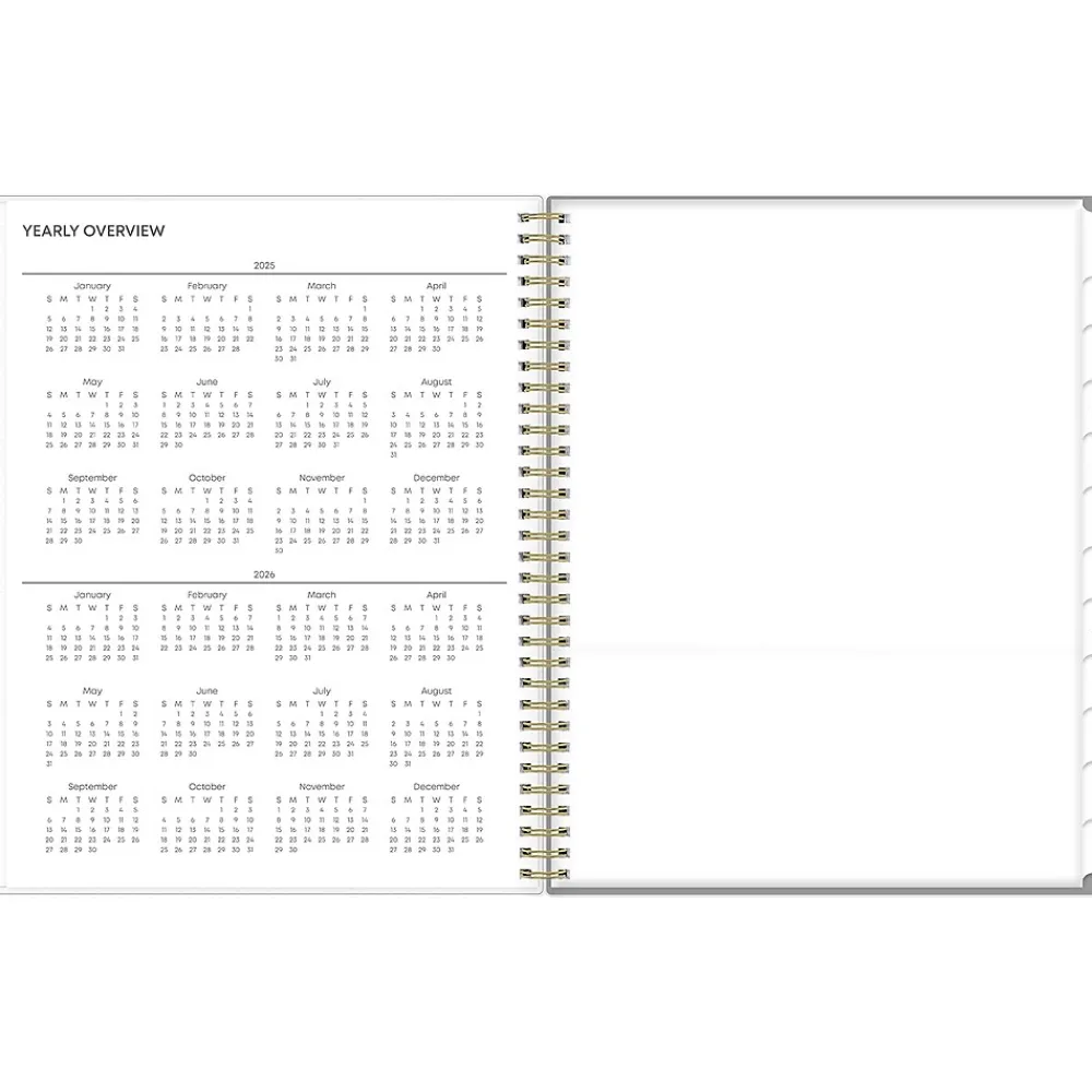 2025 Planners|Blue Sky 2025 Sophie 8.5" x 11" Weekly & Monthly Planner, Plastic Cover, Multicolor (140087-25)