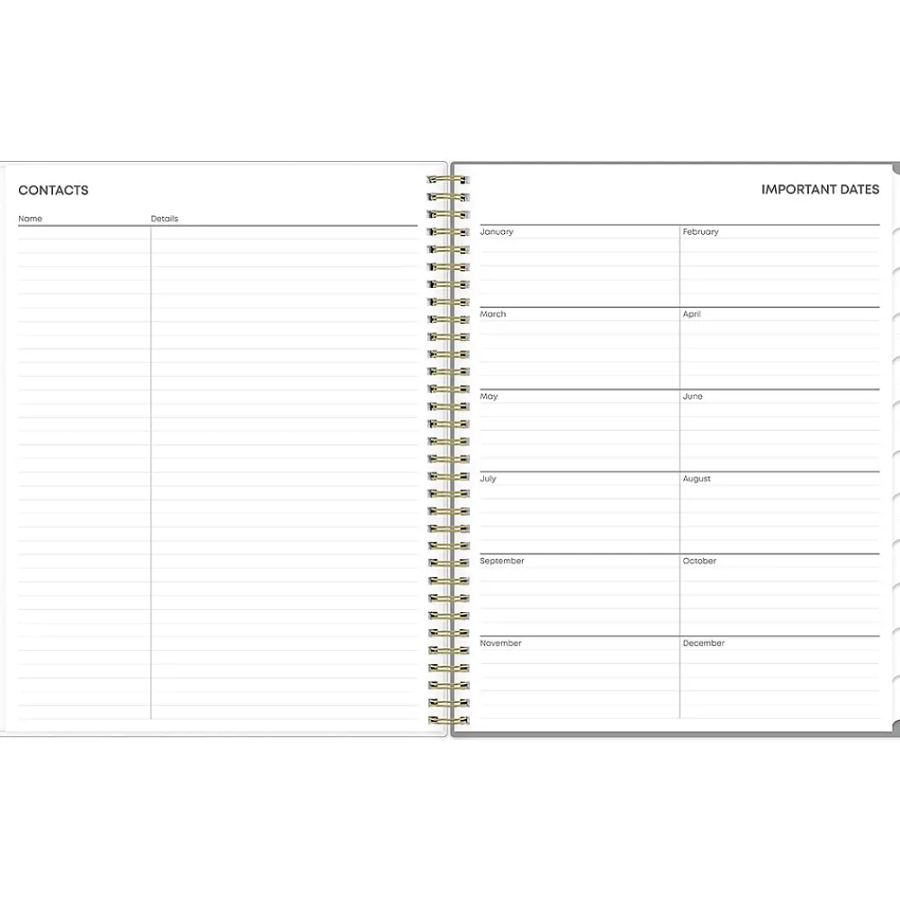 2025 Planners|Blue Sky 2025 Sophie 8.5" x 11" Weekly & Monthly Planner, Plastic Cover, Multicolor (140087-25)