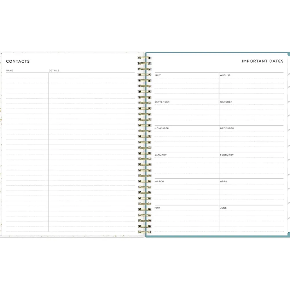 Academic Planners|Blue Sky 2024-2025 Splatter Dot Jade 8.5" x 11" Academic Weekly & Monthly Planner, Plastic Cover, Mint/Gold (149043-A25)