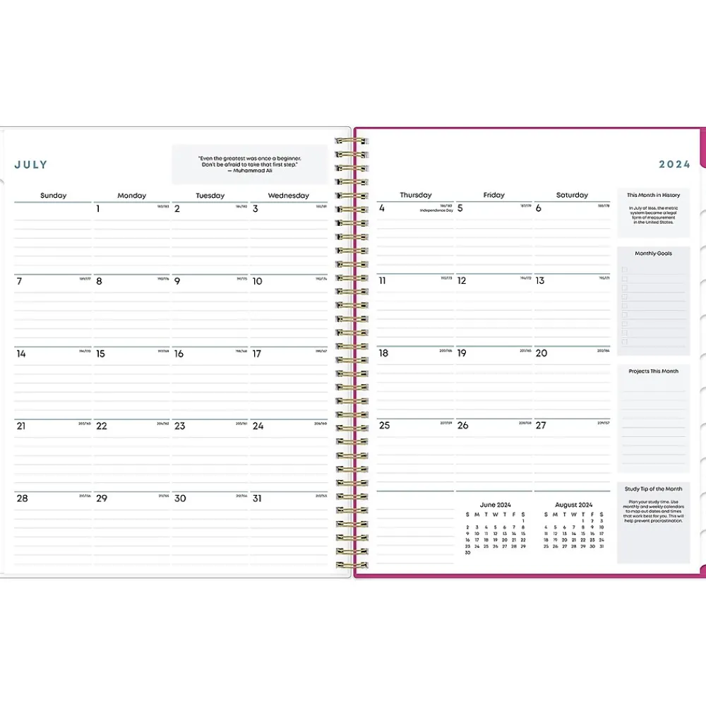 Academic Planners|Blue Sky 2024-2025 Star Confetti Bright 8.5" x 11" Academic Weekly & Monthly Planner, Plastic Cover, Multicolor (136609-A25)
