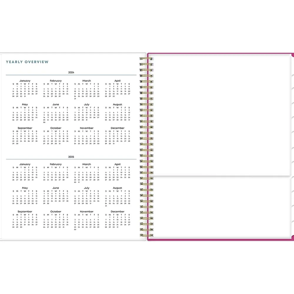 Academic Planners|Blue Sky 2024-2025 Star Confetti Bright 8.5" x 11" Academic Weekly & Monthly Planner, Plastic Cover, Multicolor (136609-A25)