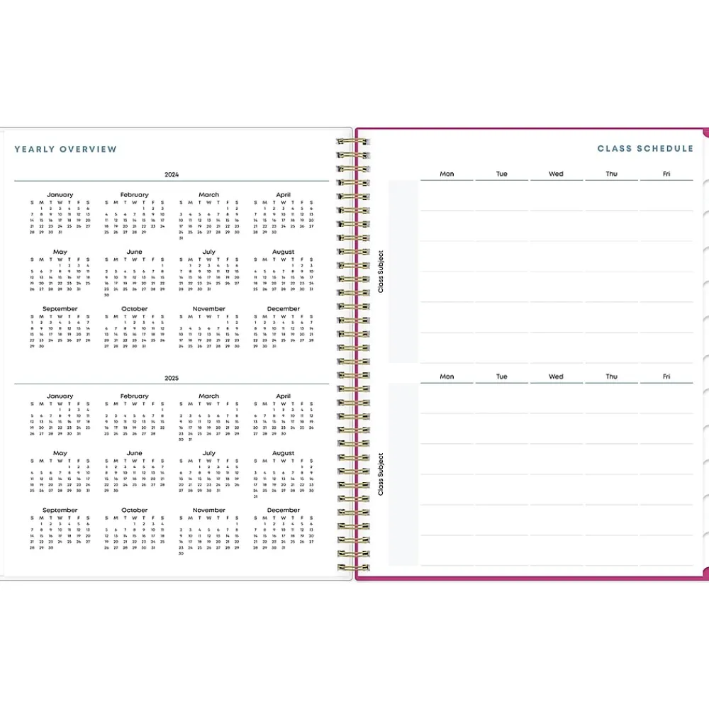 Academic Planners|Blue Sky 2024-2025 Star Confetti Bright 8.5" x 11" Academic Weekly & Monthly Planner, Plastic Cover, Multicolor (136609-A25)
