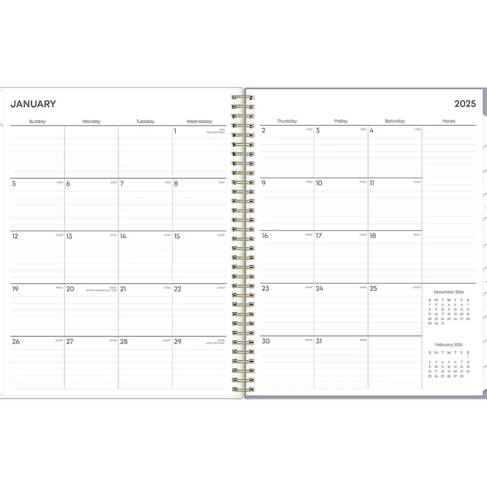 2025 Planners|Blue Sky 2025 Tula 8.5" x 11" Weekly & Monthly Planner, Plastic Cover, Multicolor (143971-25)
