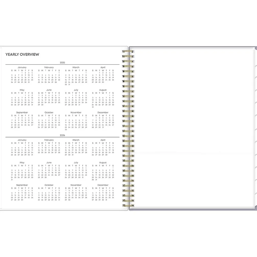 2025 Planners|Blue Sky 2025 Tula 8.5" x 11" Weekly & Monthly Planner, Plastic Cover, Multicolor (143971-25)