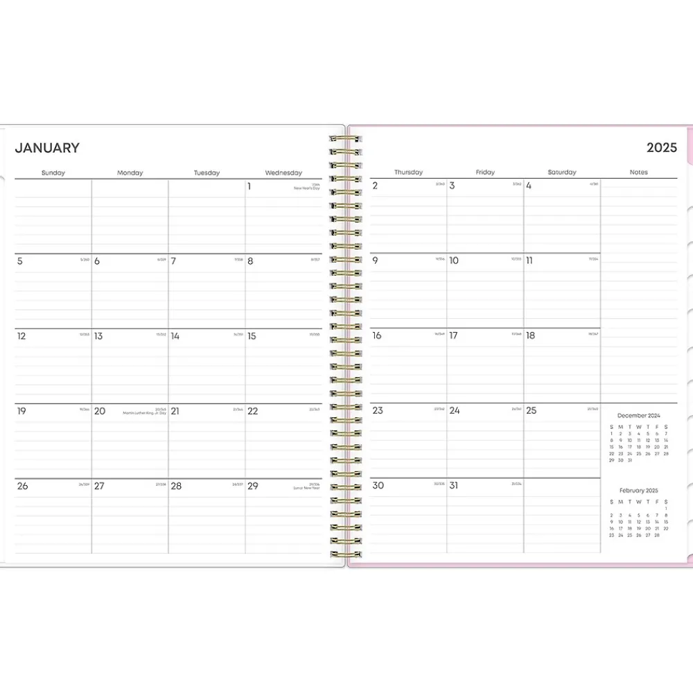 2025 Planners|Blue Sky 2025 Wednesday Stripe 8.5" x 11" Weekly & Monthly Planner, Plastic Cover, Purple/White (147943)