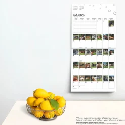 2025 Calendars|BrownTrout 2025 365 Days of Horses 12