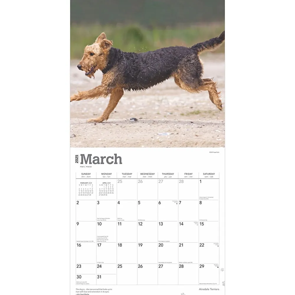 2025 Calendars|BrownTrout 2025 Airedale Terriers 12" x 12" Monthly Wall Calendar (9781975476472)