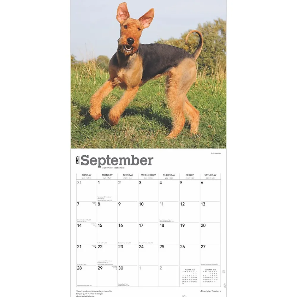 2025 Calendars|BrownTrout 2025 Airedale Terriers 12" x 12" Monthly Wall Calendar (9781975476472)