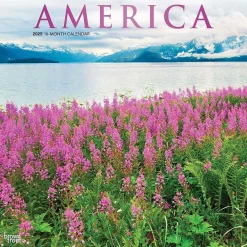 2025 Calendars|BrownTrout 2025 America 12" x 12" Monthly Square Wall Calendar (9781975474447)