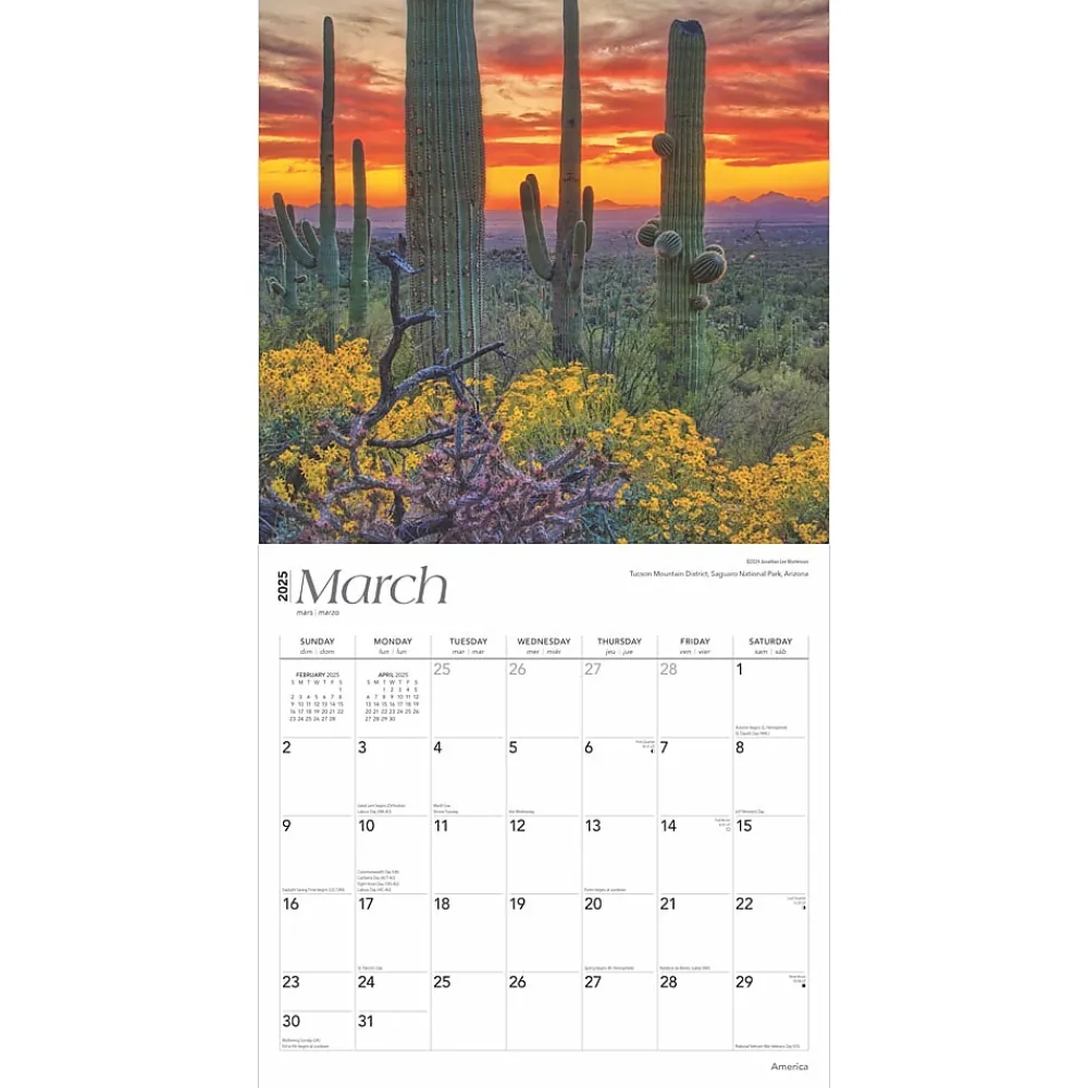 2025 Calendars|BrownTrout 2025 America 12" x 12" Monthly Square Wall Calendar (9781975474447)
