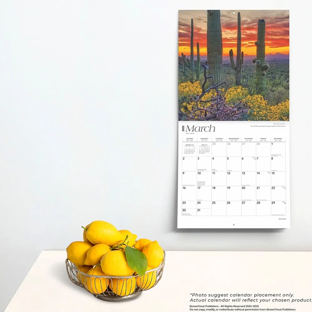 2025 Calendars|BrownTrout 2025 America 12" x 12" Monthly Square Wall Calendar (9781975474447)