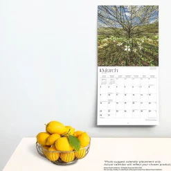 2025 Calendars|BrownTrout 2025 Arkansas Wild & Scenic 12
