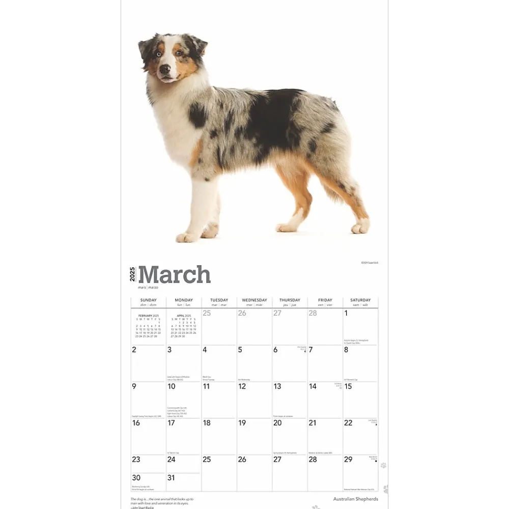 2025 Calendars|BrownTrout 2025 Australian Shepherds 12" x 12" Monthly Wall Calendar (9781975476557)
