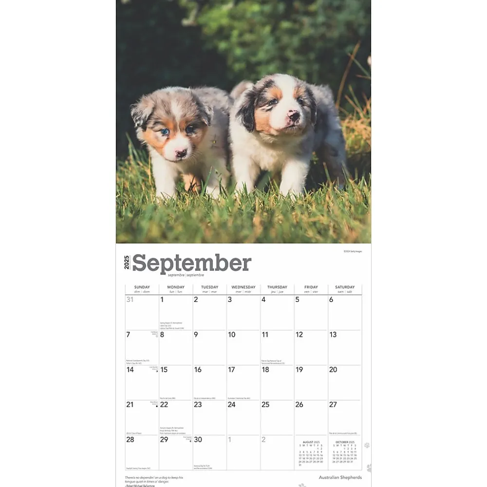 2025 Calendars|BrownTrout 2025 Australian Shepherds 12" x 12" Monthly Wall Calendar (9781975476557)