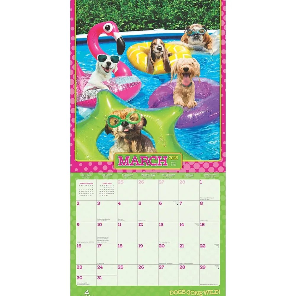2025 Calendars|BrownTrout 2025 Avanti Dogs Gone Wild 12" x 12" Monthly Wall Calendar (9781975479671)