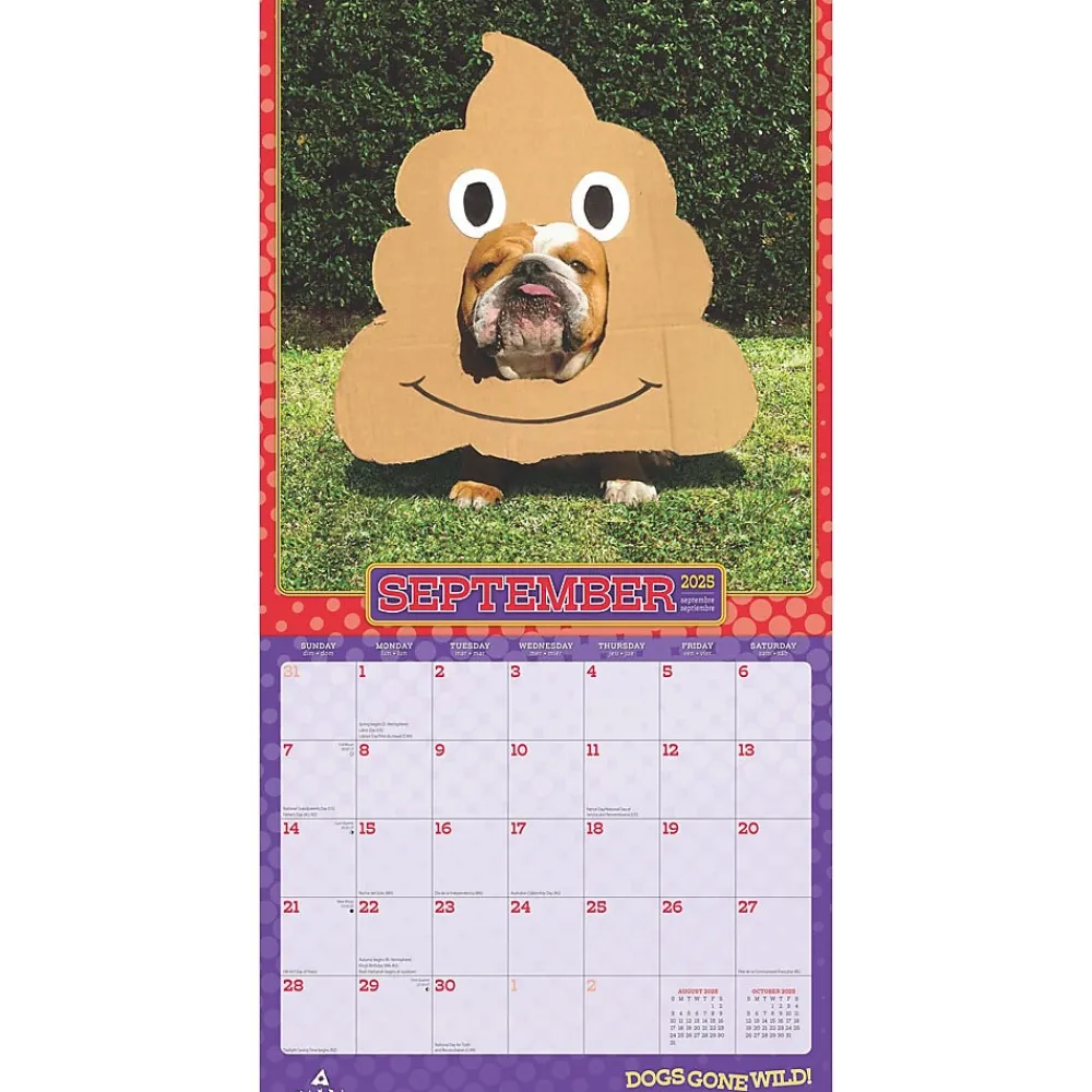 2025 Calendars|BrownTrout 2025 Avanti Dogs Gone Wild 12" x 12" Monthly Wall Calendar (9781975479671)