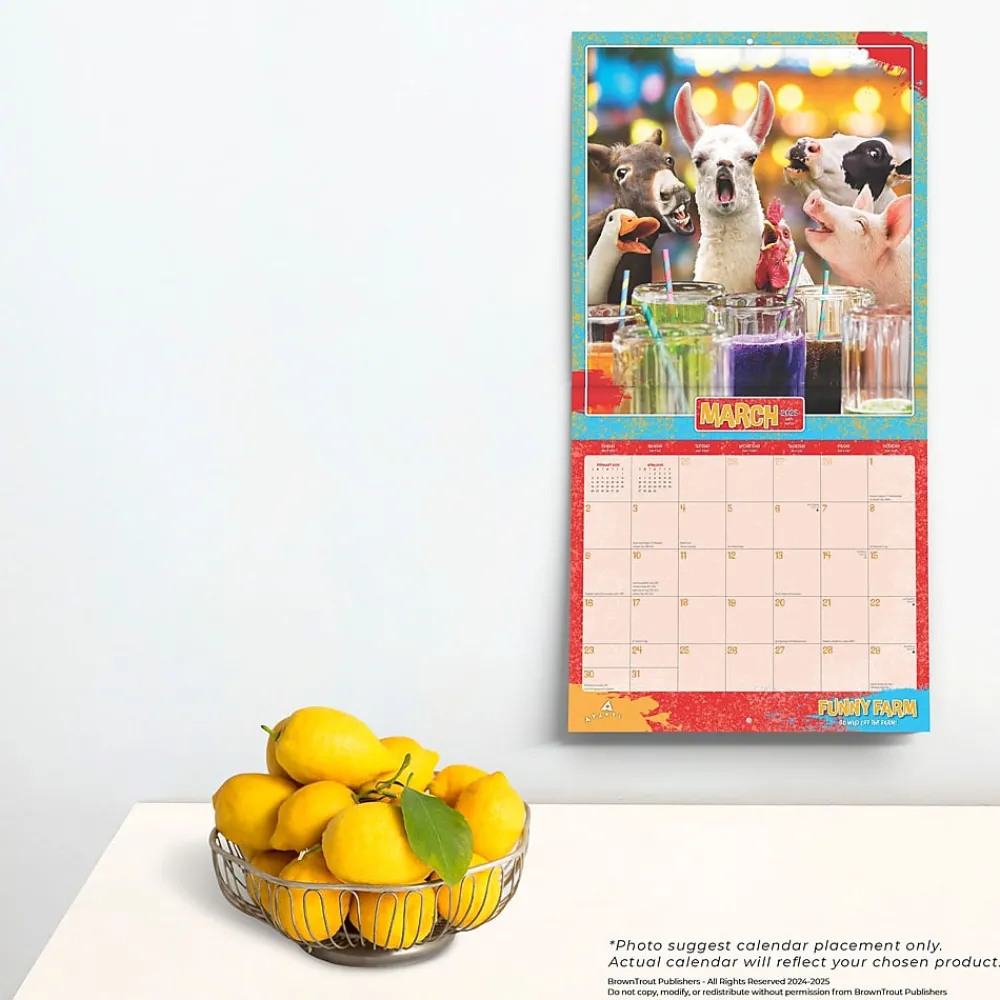 2025 Calendars|BrownTrout 2025 Avanti Funny Farm 12" x 12" Monthly Square Wall Calendar (9781975479688)