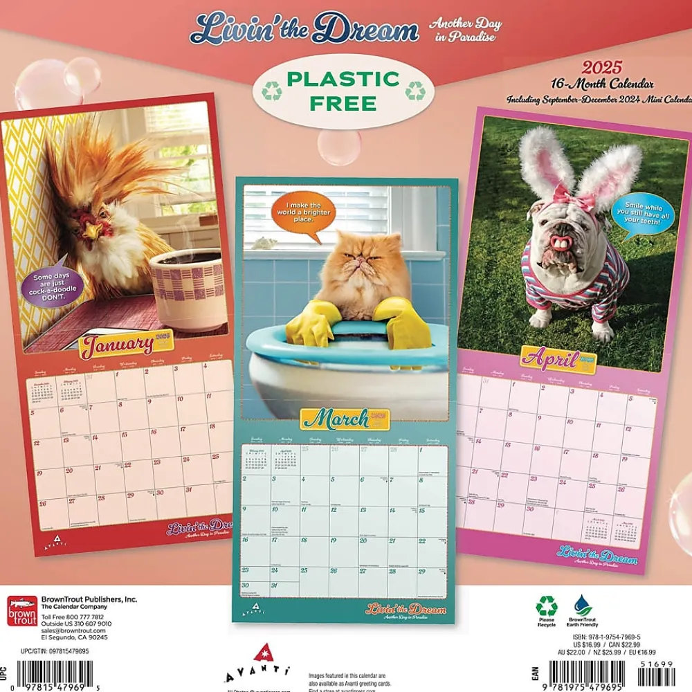 2025 Calendars|BrownTrout 2025 Avanti Livin' the Dream 12" x 12" Monthly Square Wall Calendar (9781975479695)