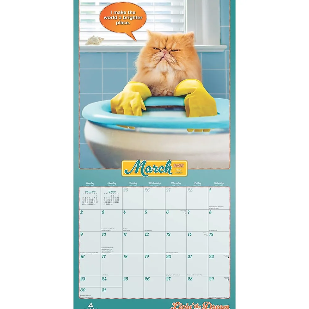 2025 Calendars|BrownTrout 2025 Avanti Livin' the Dream 12" x 12" Monthly Square Wall Calendar (9781975479695)