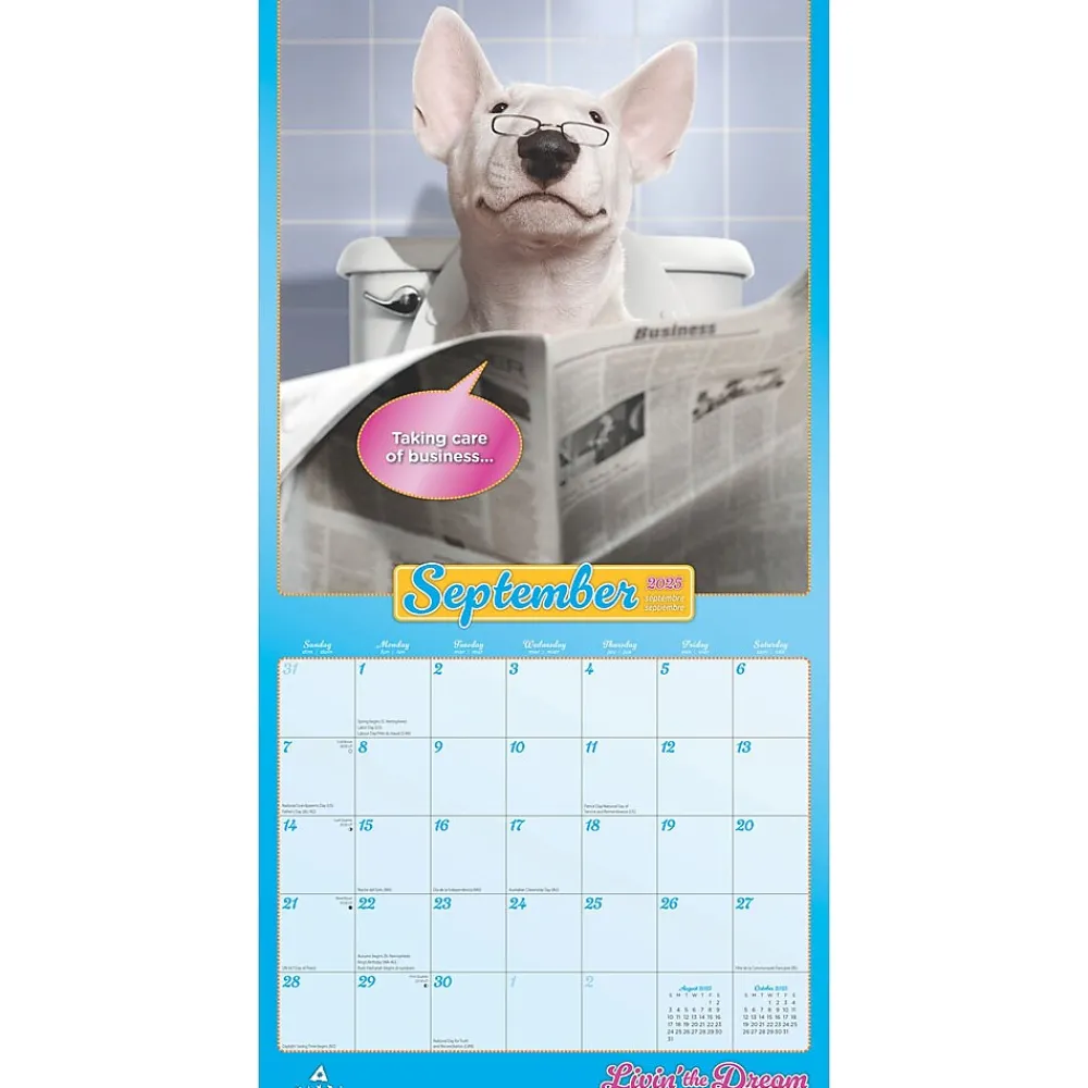 2025 Calendars|BrownTrout 2025 Avanti Livin' the Dream 12" x 12" Monthly Square Wall Calendar (9781975479695)