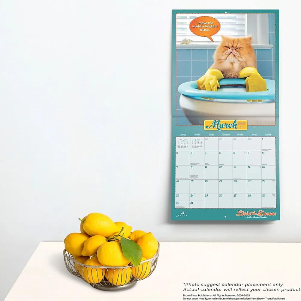 2025 Calendars|BrownTrout 2025 Avanti Livin' the Dream 12" x 12" Monthly Square Wall Calendar (9781975479695)