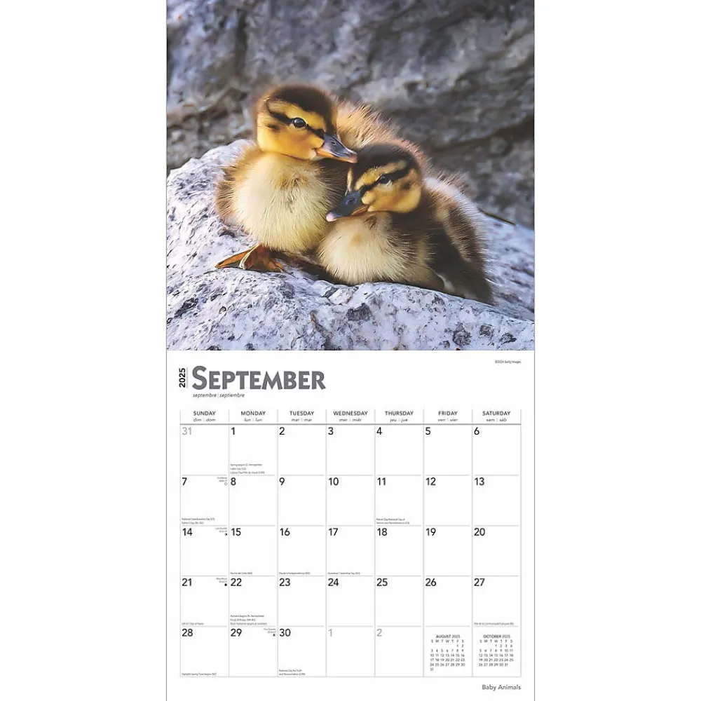 2025 Calendars|BrownTrout 2025 Baby Animals 12" x 12" Monthly Square Wall Calendar (9781975476564)