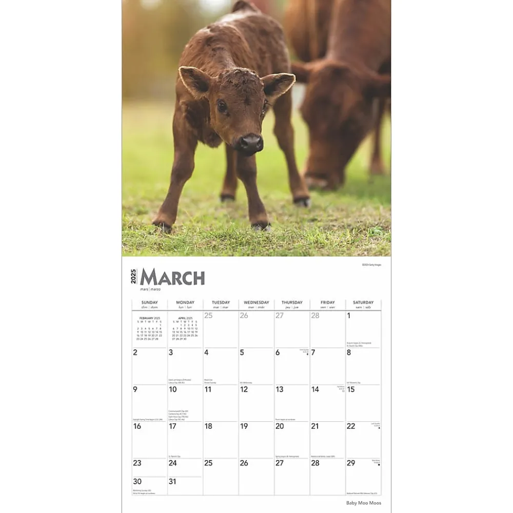 2025 Calendars|BrownTrout 2025 Baby Moo Moos 12" x 12" Monthly Wall Calendar (9781975476588)