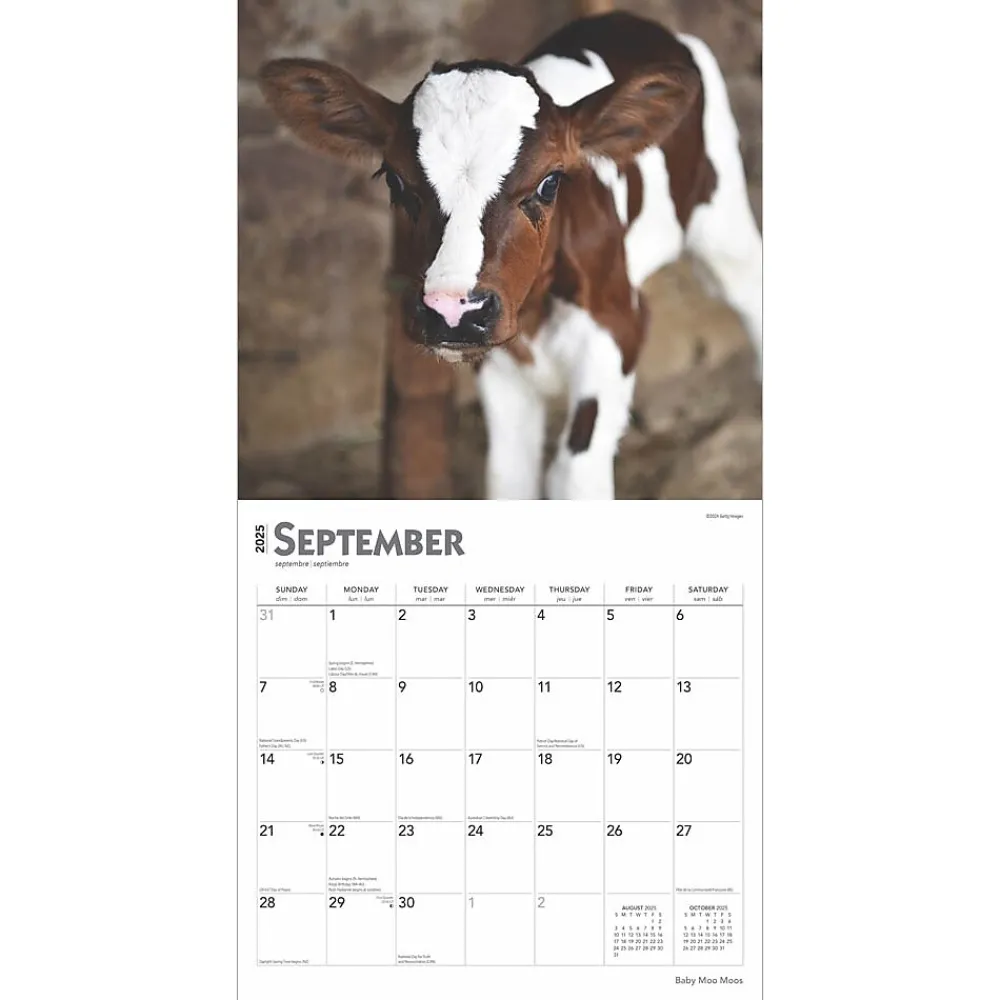 2025 Calendars|BrownTrout 2025 Baby Moo Moos 12" x 12" Monthly Wall Calendar (9781975476588)