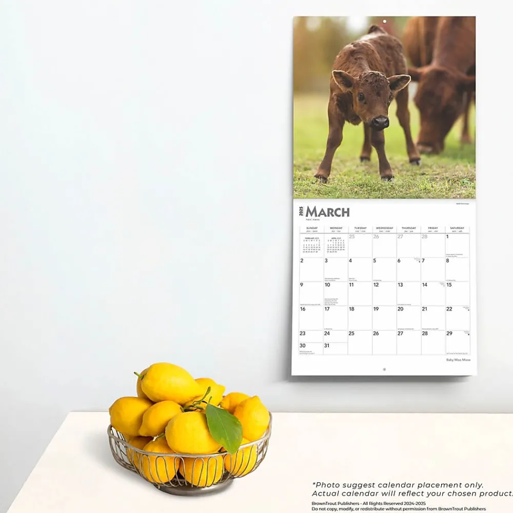 2025 Calendars|BrownTrout 2025 Baby Moo Moos 12" x 12" Monthly Wall Calendar (9781975476588)