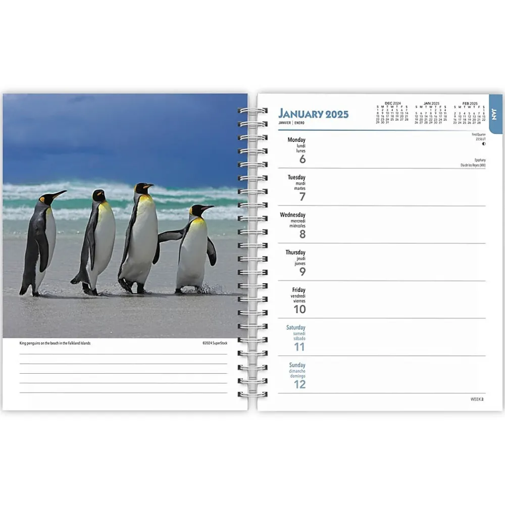 2025 Planners|BrownTrout 2025 Beaches 6" x 7.75" Weekly Engagement Planner, Paper Cover, Multicolored (9781975473198)
