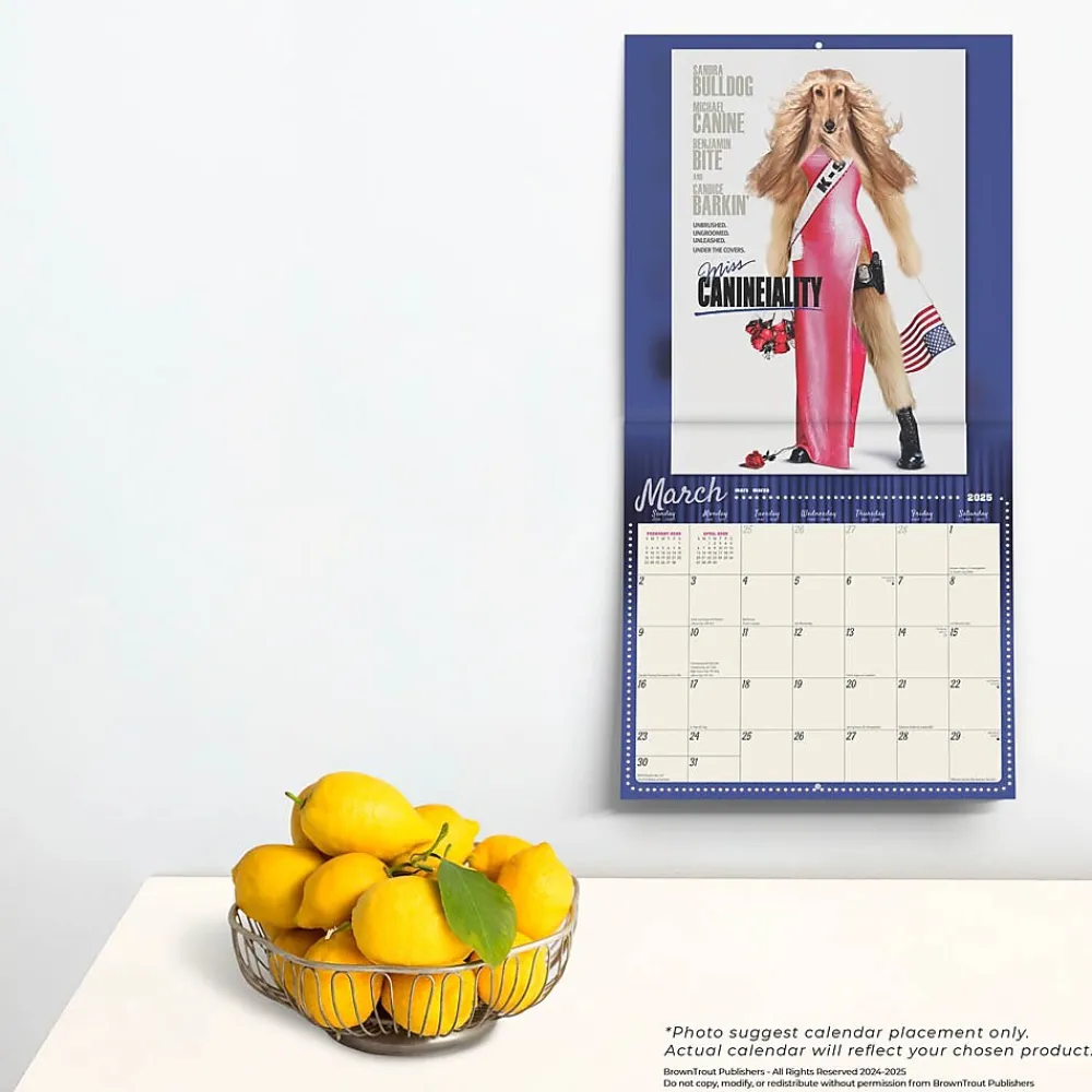 2025 Calendars|BrownTrout 2025 Best in Show 12" x 12" Monthly Wall Calendar (9781975481452)