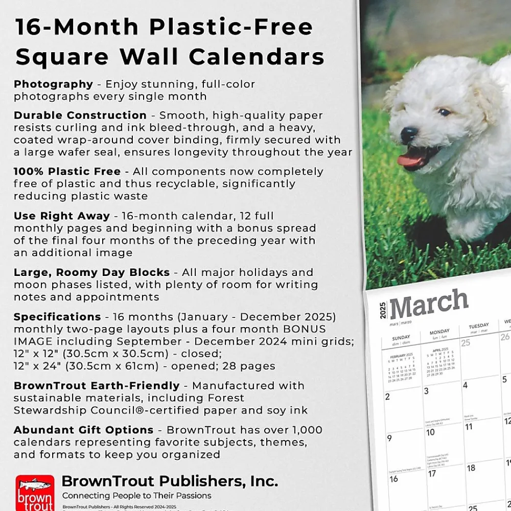 2025 Calendars|BrownTrout 2025 Bichon Frise Puppies 12" x 12" Monthly Wall Calendar (9781975474508)