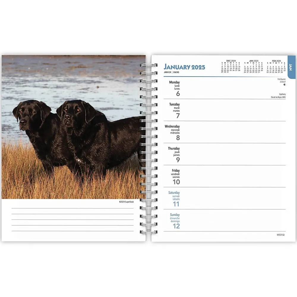 2025 Planners|BrownTrout 2025 Black Labrador Retrievers 6" x 7.75" Weekly Engagement Planner, Paper Cover, Multicolored (9781975473235)