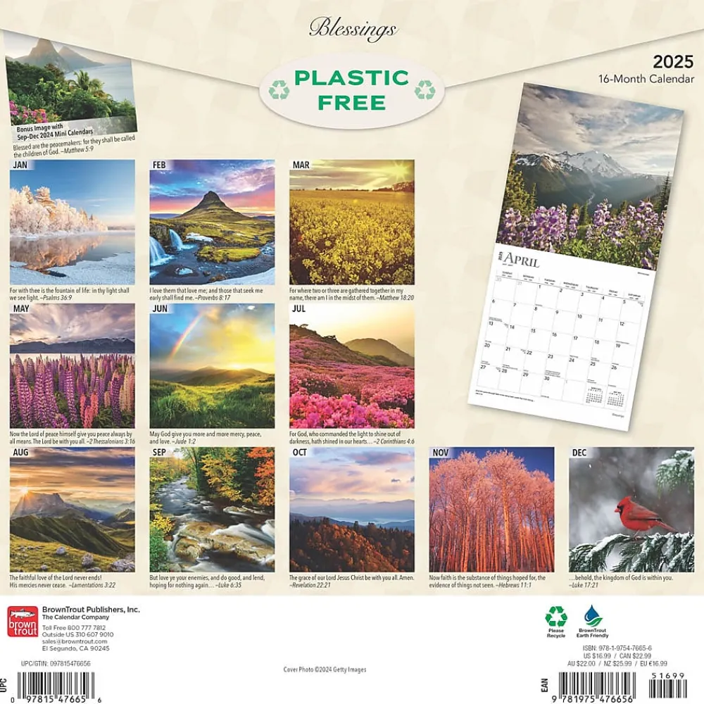 2025 Calendars|BrownTrout 2025 Blessings 12" x 12" Monthly Wall Calendar (9781975476656)