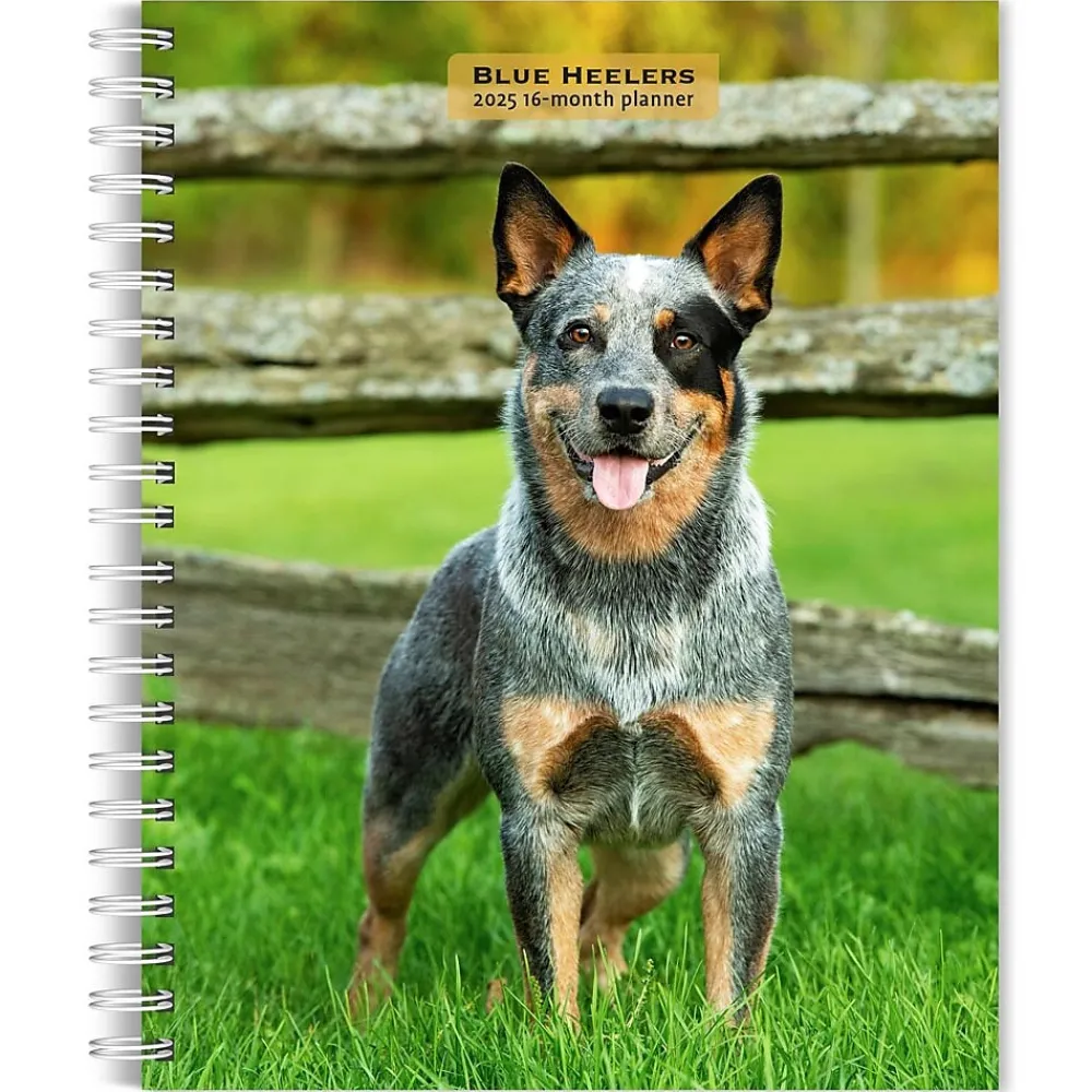 2025 Planners|BrownTrout 2025 Blue Heelers 6" x 7.75" Weekly Engagement Planner, Paper Cover, Multicolored (9781975483142)