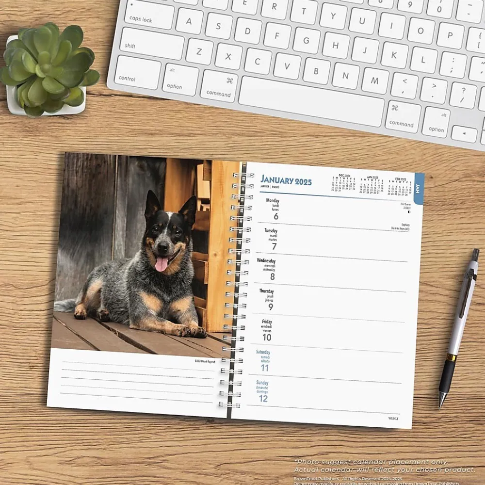 2025 Planners|BrownTrout 2025 Blue Heelers 6" x 7.75" Weekly Engagement Planner, Paper Cover, Multicolored (9781975483142)