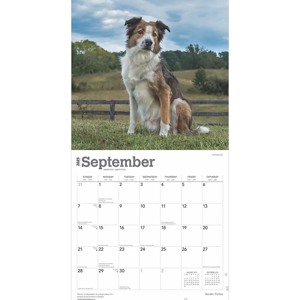 2025 Calendars|BrownTrout 2025 Border Collies 12" x 12" Monthly Wall Calendar (9781975476687)