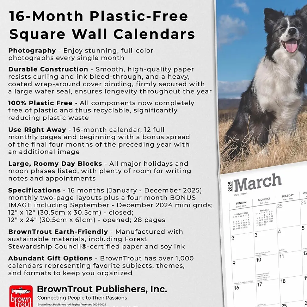 2025 Calendars|BrownTrout 2025 Border Collies 12" x 12" Monthly Wall Calendar (9781975476687)