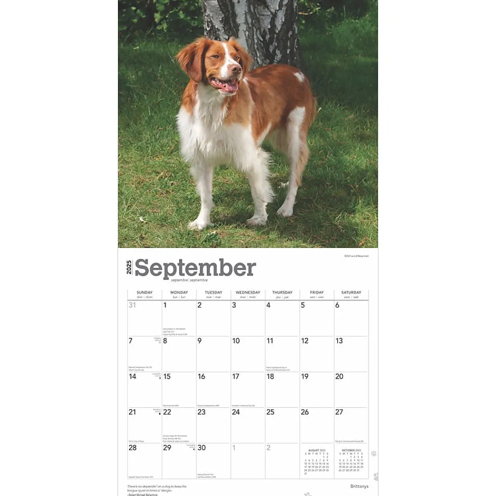 2025 Calendars|BrownTrout 2025 Brittanys 12" x 12" Monthly Wall Calendar (9781975476731)