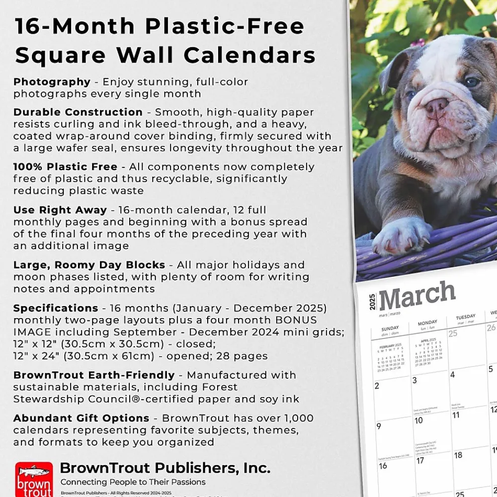 2025 Calendars|BrownTrout 2025 Bulldog Puppies 12" x 12" Monthly Wall Calendar (9781975474539)