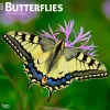 2025 Calendars|BrownTrout 2025 Butterflies 12" x 12" Monthly Wall Calendar (9781975476762)