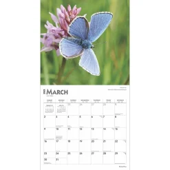 2025 Calendars|BrownTrout 2025 Butterflies 12