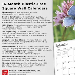 2025 Calendars|BrownTrout 2025 Butterflies 12