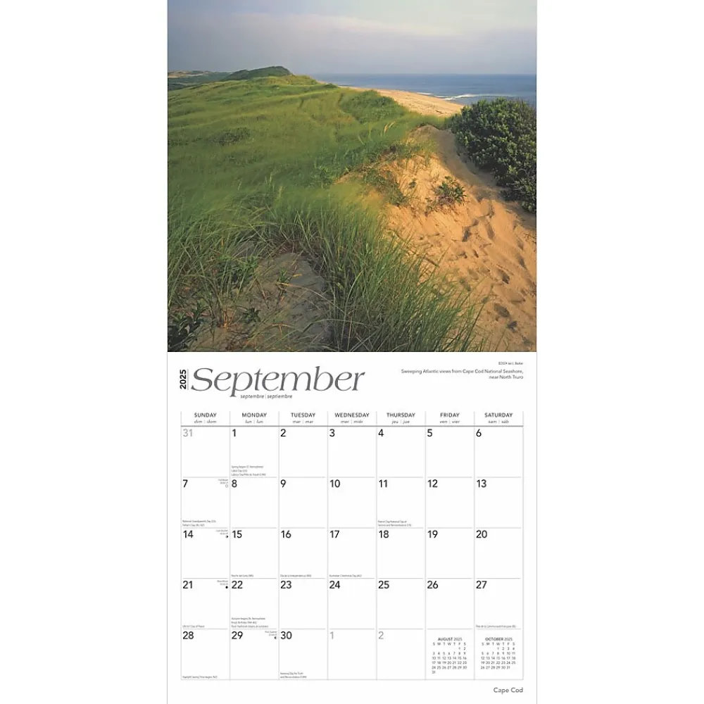 2025 Calendars|BrownTrout 2025 Cape Cod 12" x 24" Monthly Square Wall Calendar, (9781975474577)