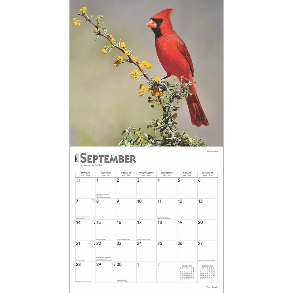 2025 Calendars|BrownTrout 2025 Cardinals 12" x 24" Monthly Square Wall Calendar, (9781975476786)