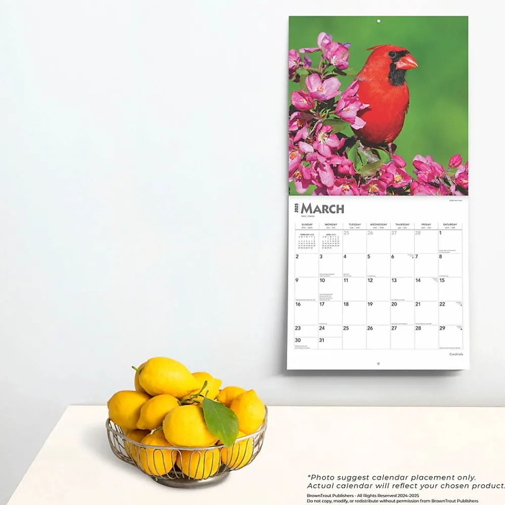 2025 Calendars|BrownTrout 2025 Cardinals 12" x 24" Monthly Square Wall Calendar, (9781975476786)
