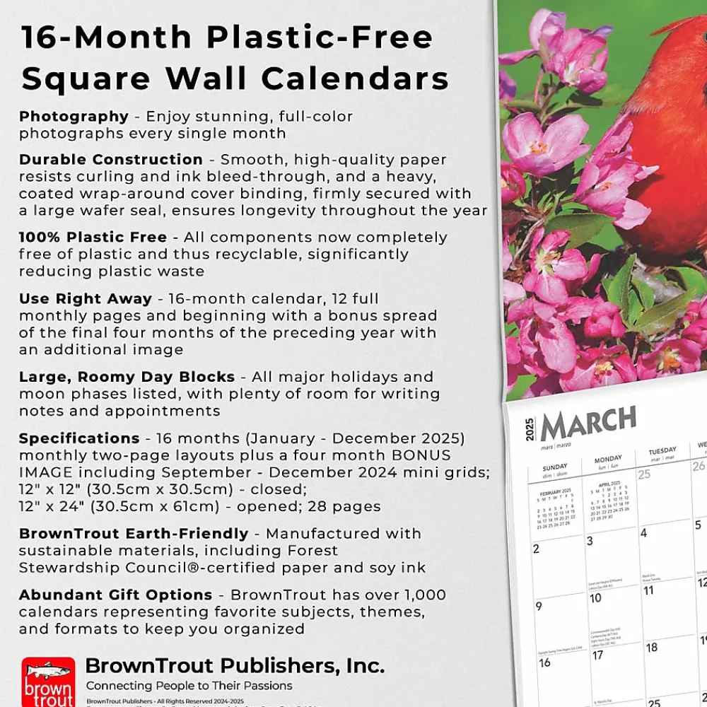 2025 Calendars|BrownTrout 2025 Cardinals 12" x 24" Monthly Square Wall Calendar, (9781975476786)
